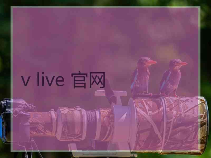 v live 官网