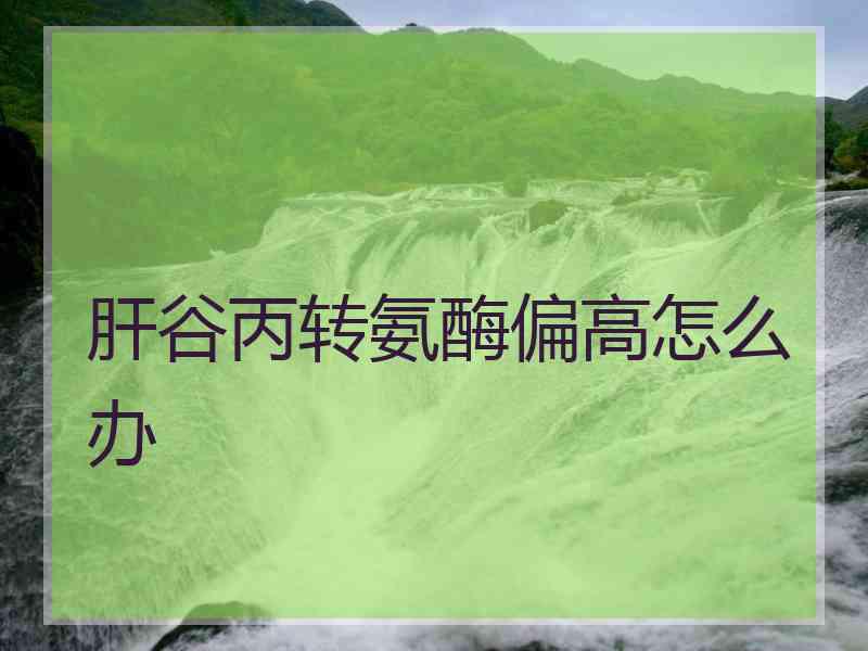 肝谷丙转氨酶偏高怎么办
