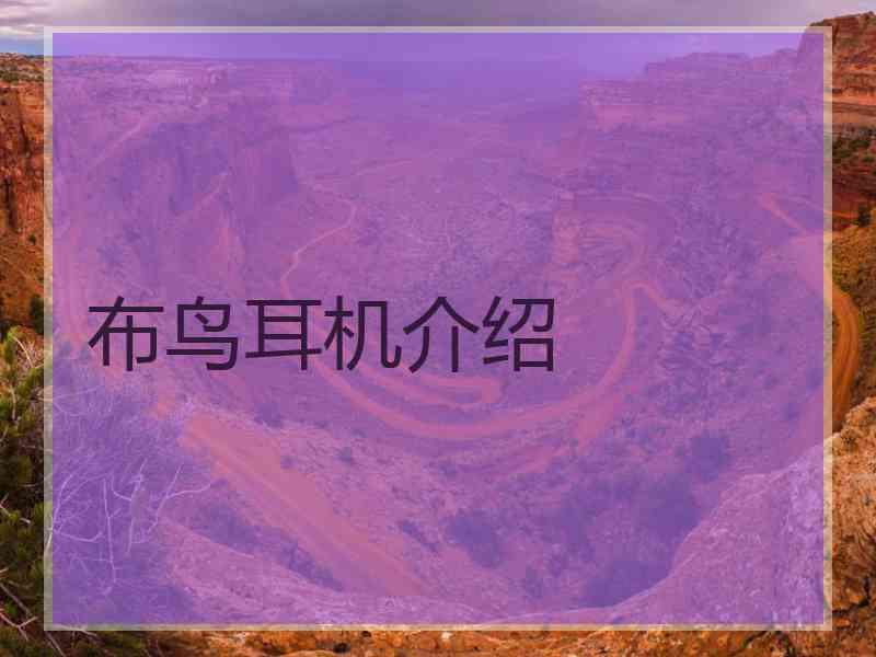 布鸟耳机介绍