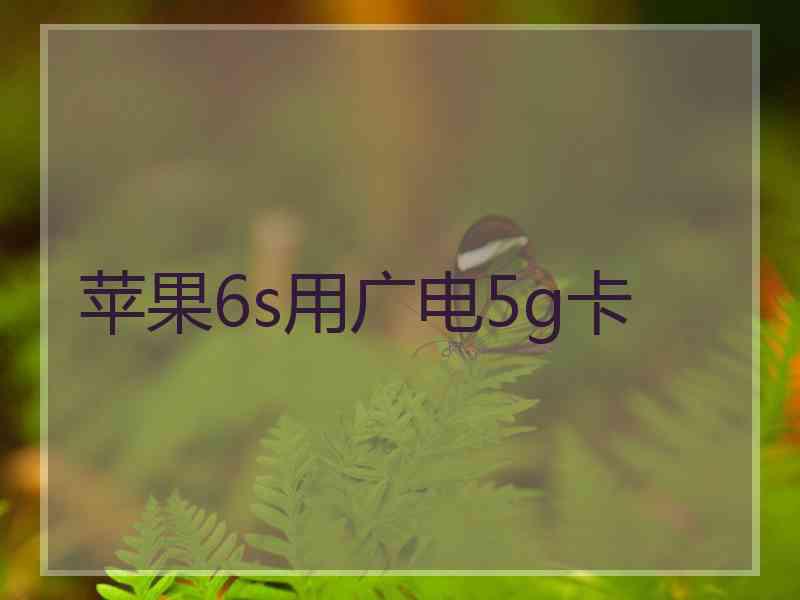苹果6s用广电5g卡