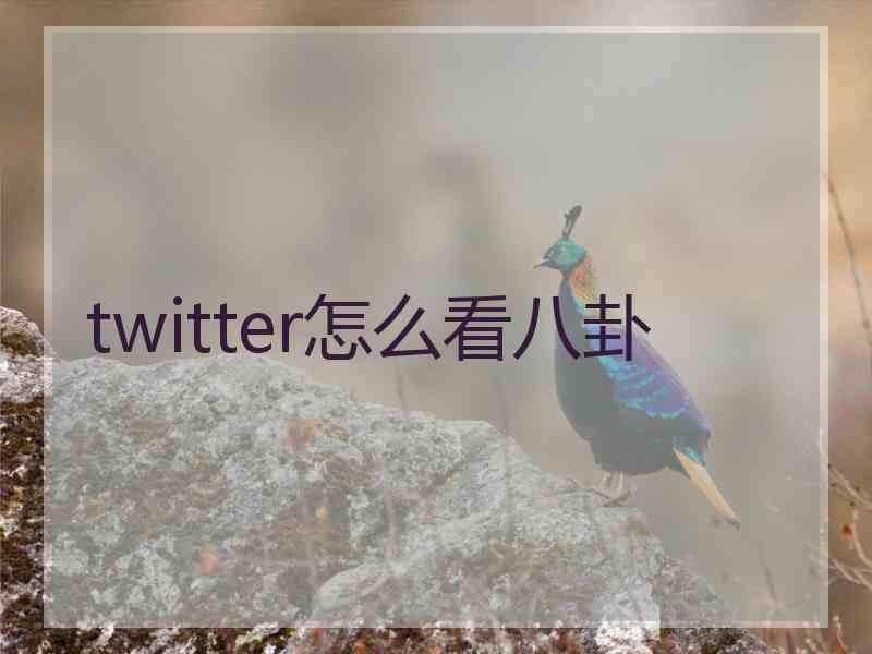 twitter怎么看八卦