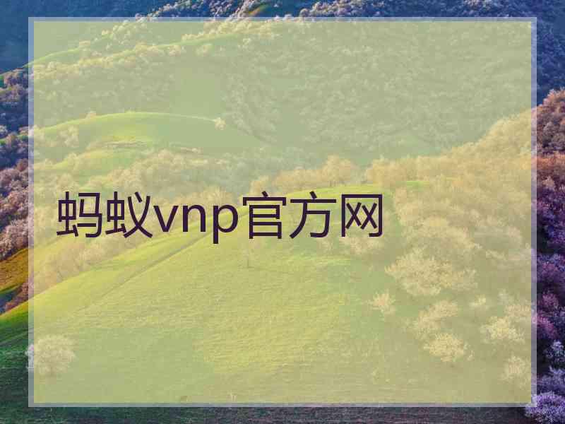 蚂蚁vnp官方网