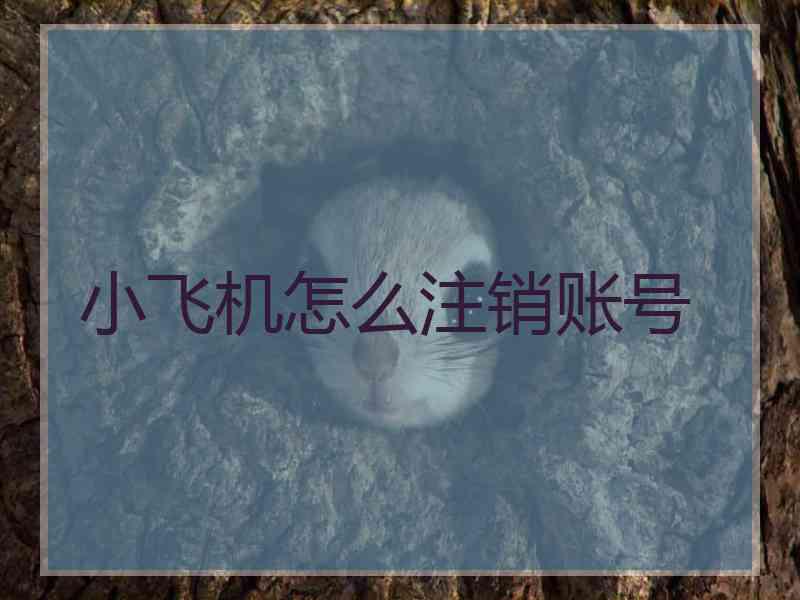 小飞机怎么注销账号