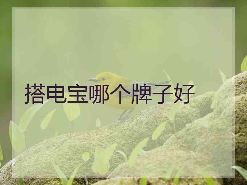 搭电宝哪个牌子好