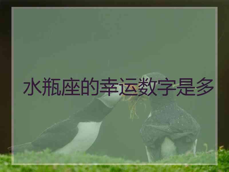 水瓶座的幸运数字是多