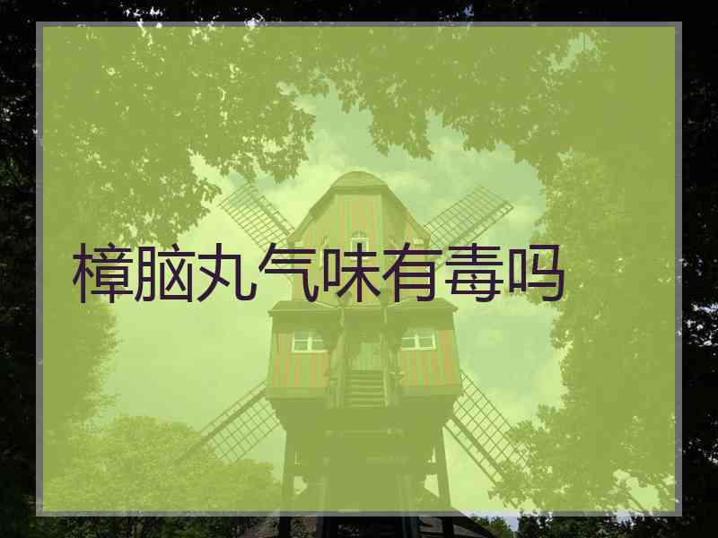 樟脑丸气味有毒吗