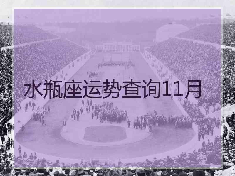 水瓶座运势查询11月