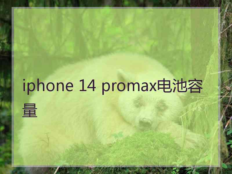 iphone 14 promax电池容量