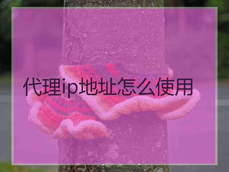 代理ip地址怎么使用