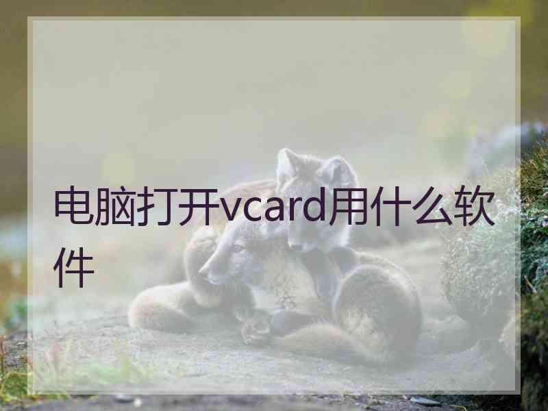 电脑打开vcard用什么软件