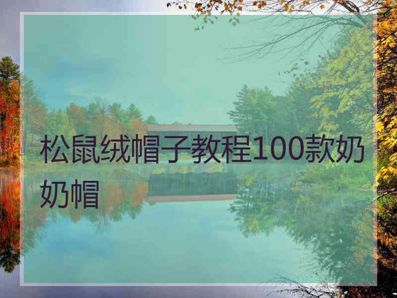 松鼠绒帽子教程100款奶奶帽