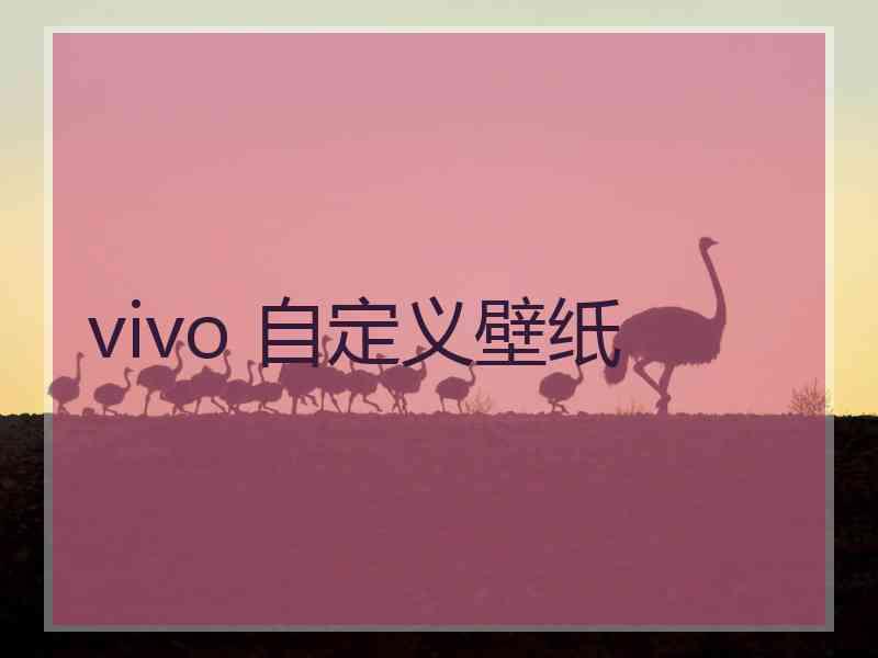 vivo 自定义壁纸