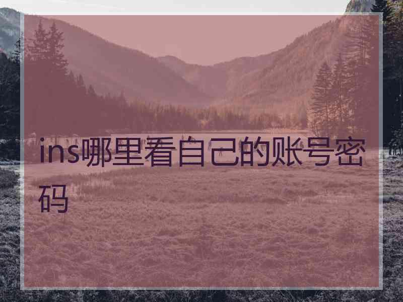 ins哪里看自己的账号密码