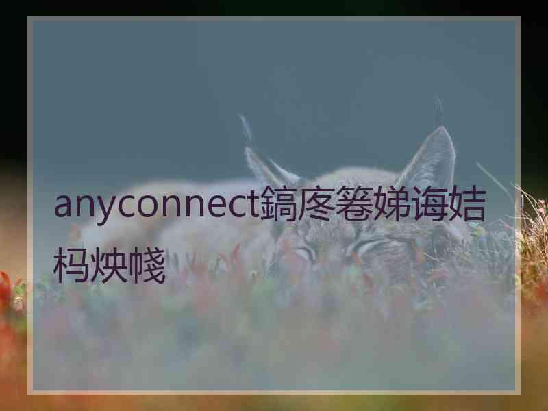 anyconnect鎬庝箞娣诲姞杩炴帴