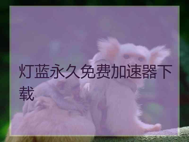 灯蓝永久免费加速器下载