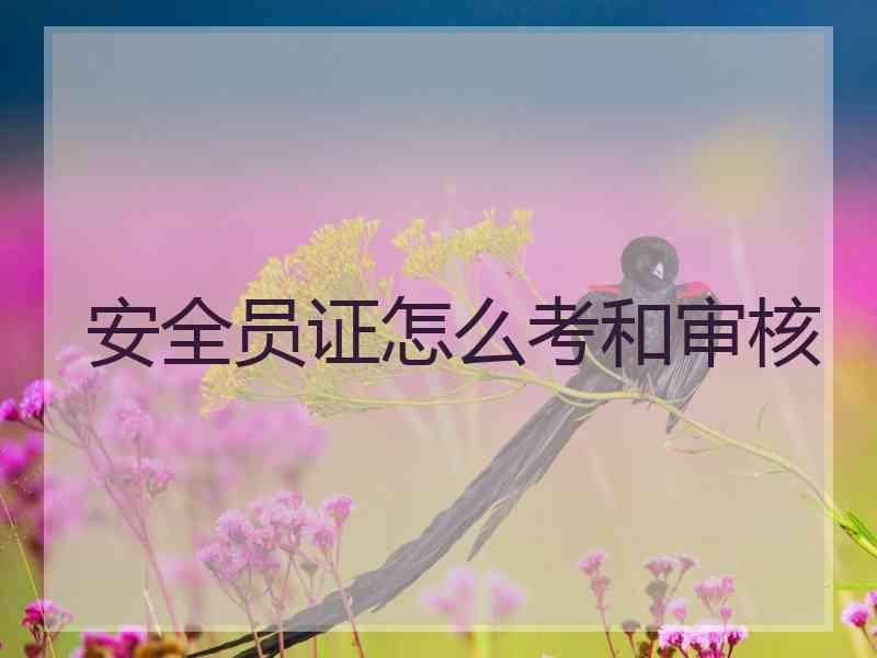 安全员证怎么考和审核