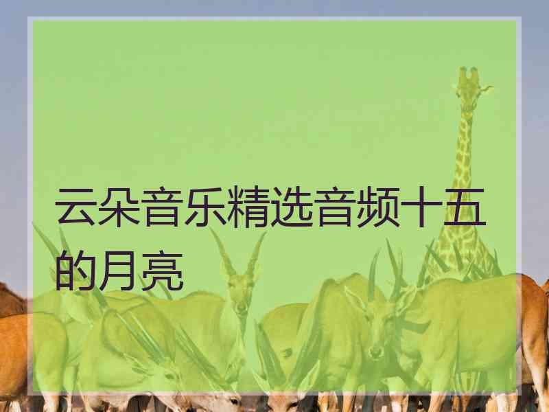 云朵音乐精选音频十五的月亮
