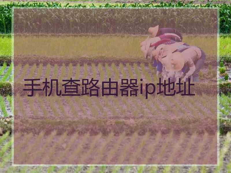 手机查路由器ip地址