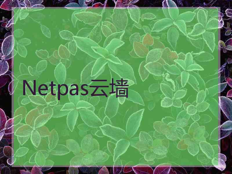Netpas云墙