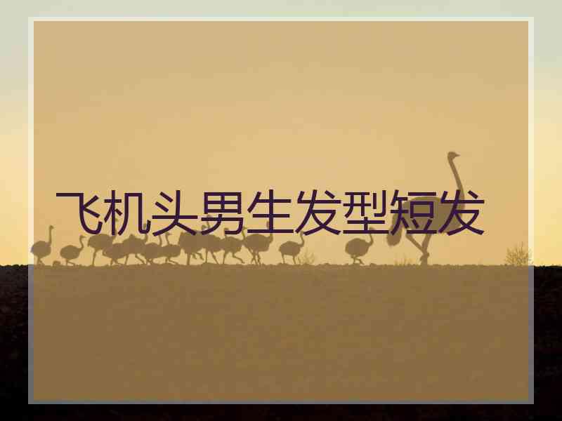 飞机头男生发型短发