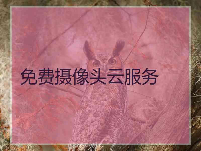 免费摄像头云服务