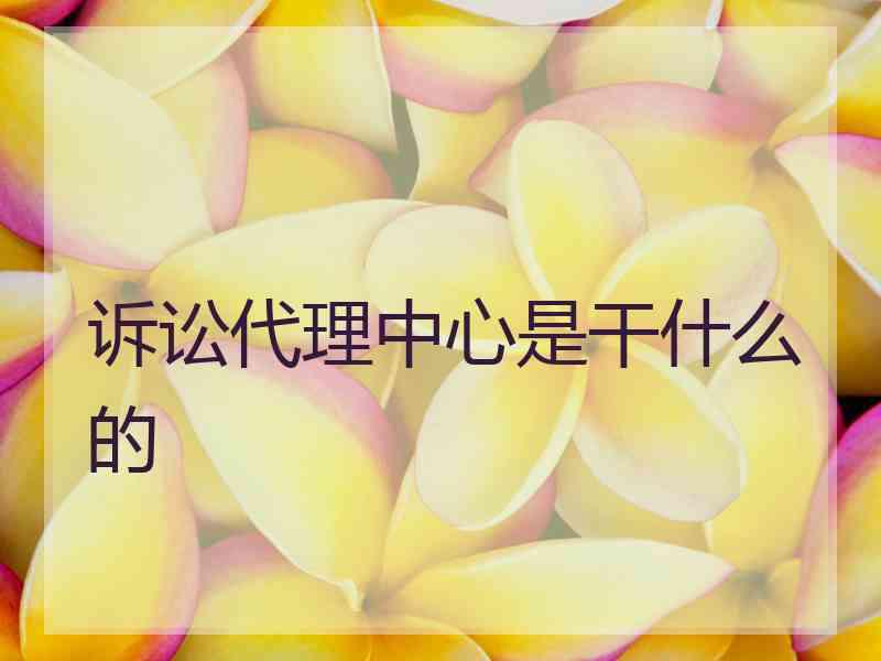 诉讼代理中心是干什么的