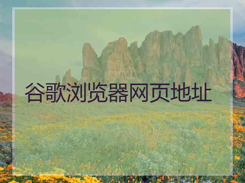 谷歌浏览器网页地址