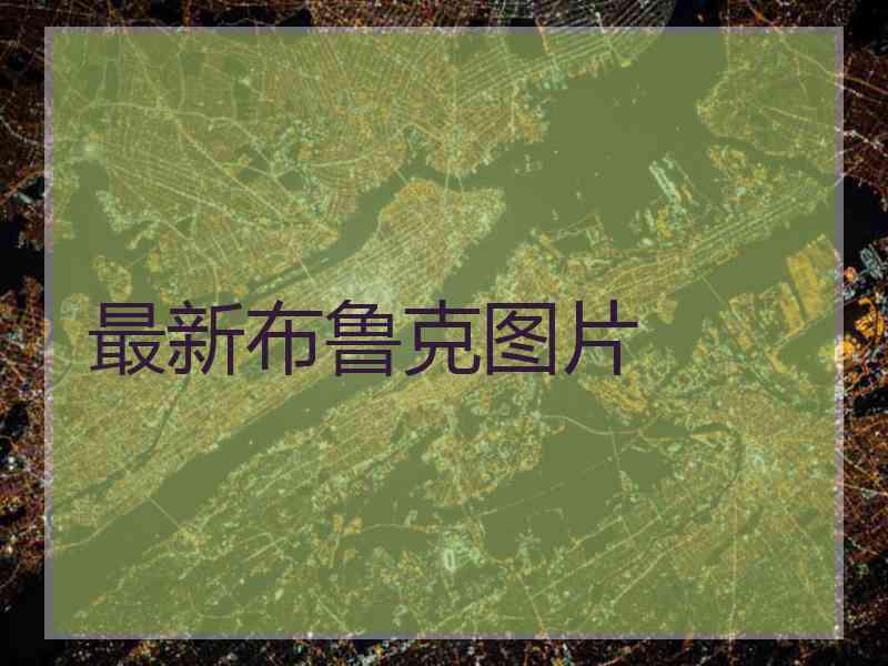 最新布鲁克图片