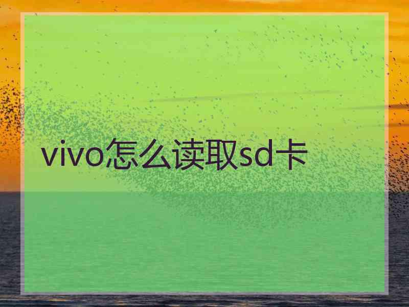 vivo怎么读取sd卡