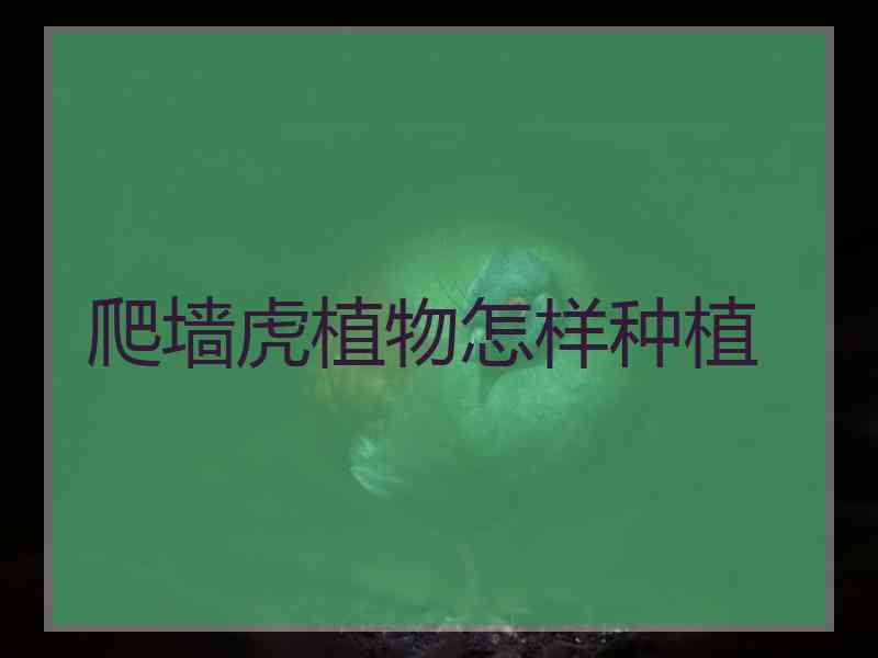 爬墙虎植物怎样种植