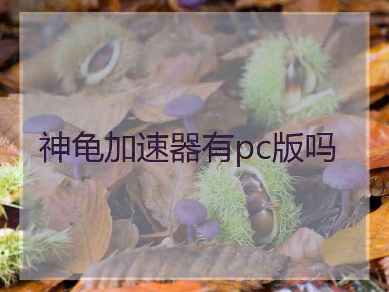 神龟加速器有pc版吗