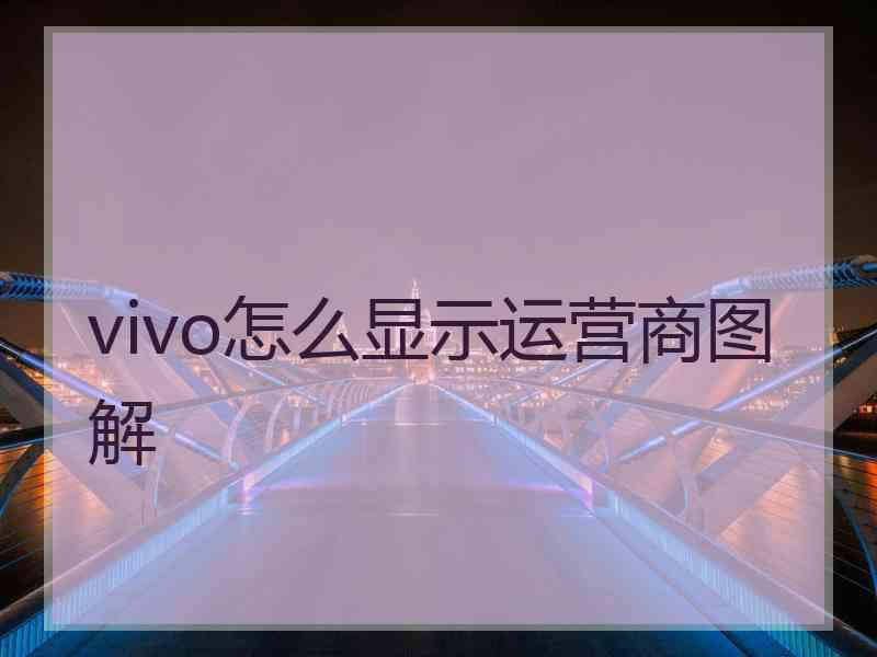 vivo怎么显示运营商图解