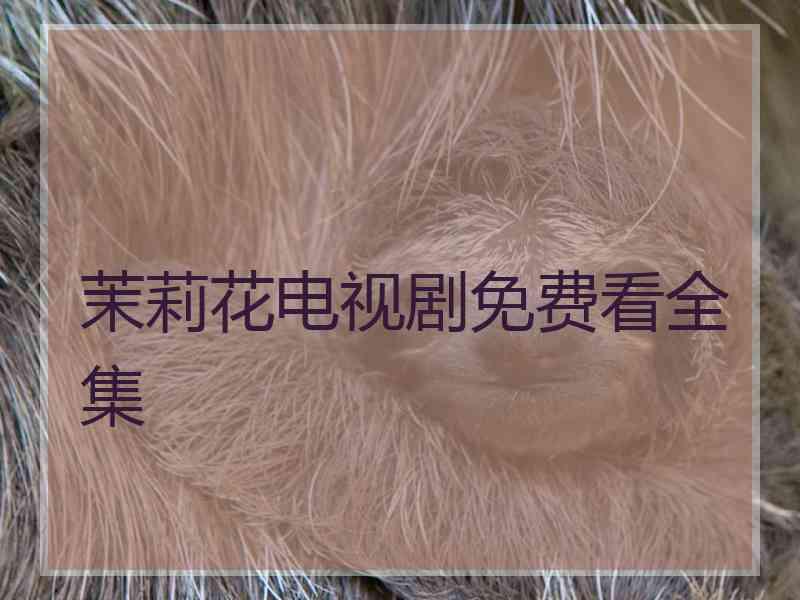 茉莉花电视剧免费看全集