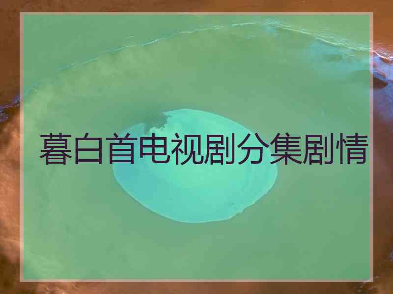 暮白首电视剧分集剧情