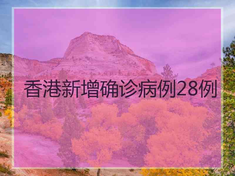 香港新增确诊病例28例