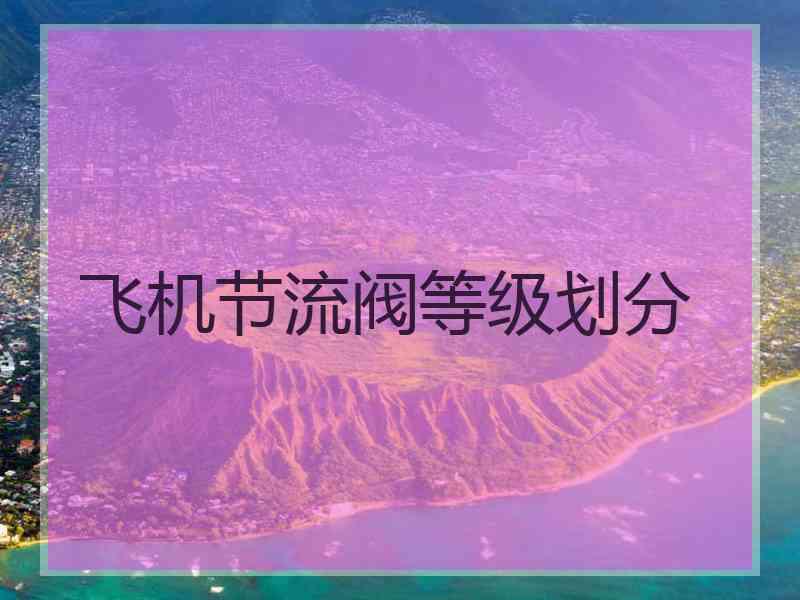 飞机节流阀等级划分