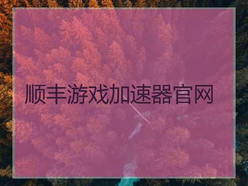 顺丰游戏加速器官网