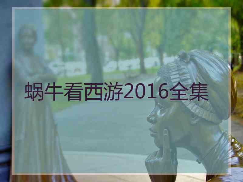 蜗牛看西游2016全集