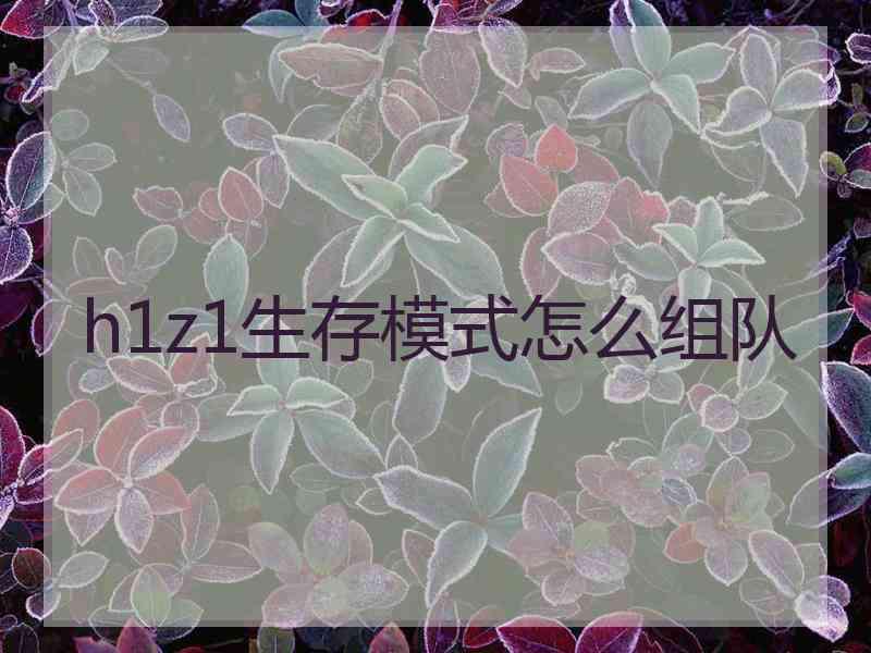 h1z1生存模式怎么组队