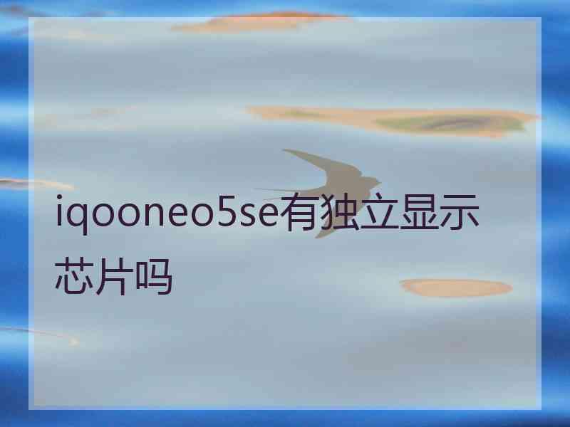 iqooneo5se有独立显示芯片吗