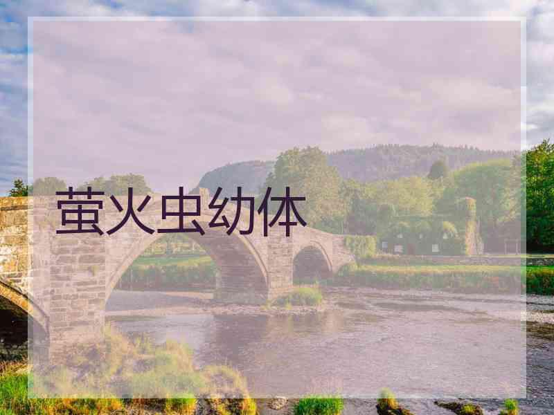 萤火虫幼体