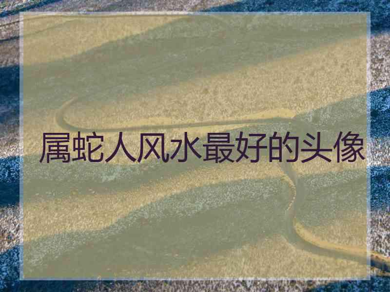 属蛇人风水最好的头像