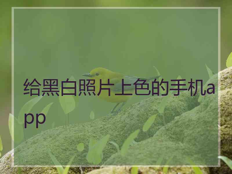 给黑白照片上色的手机app