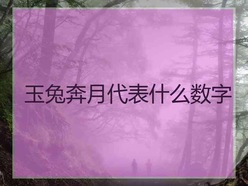 玉兔奔月代表什么数字