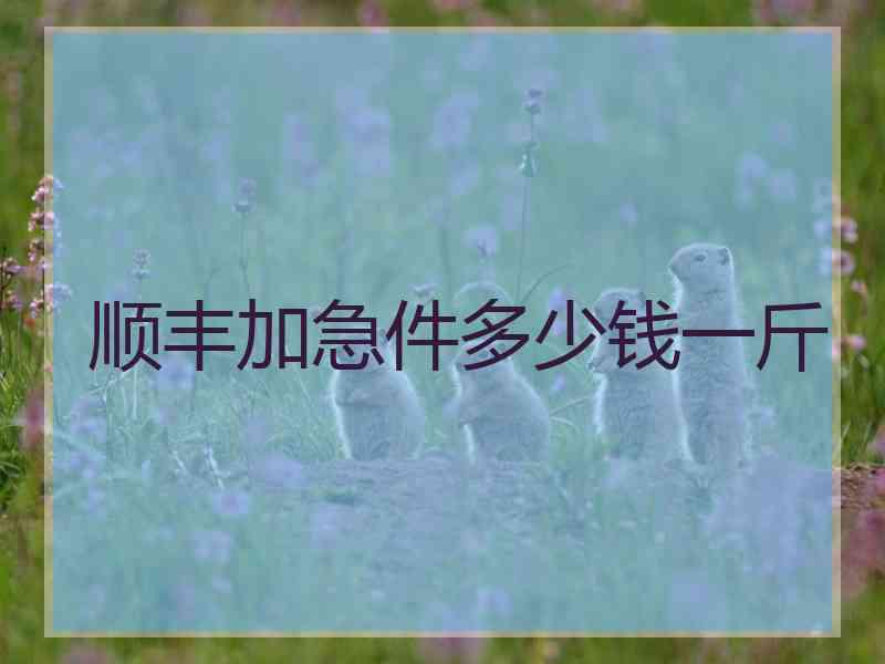 顺丰加急件多少钱一斤