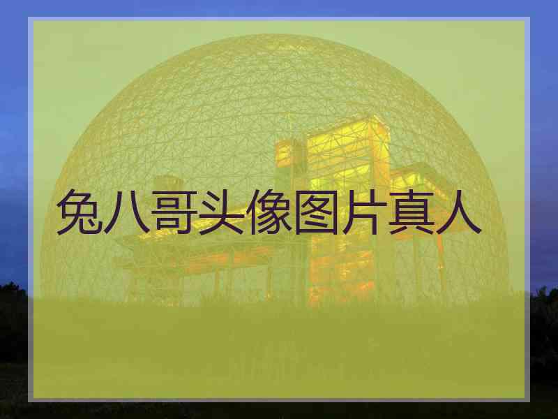 兔八哥头像图片真人