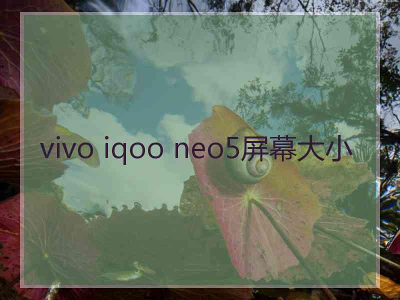 vivo iqoo neo5屏幕大小