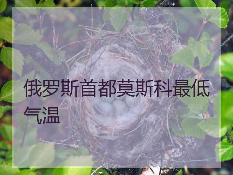 俄罗斯首都莫斯科最低气温