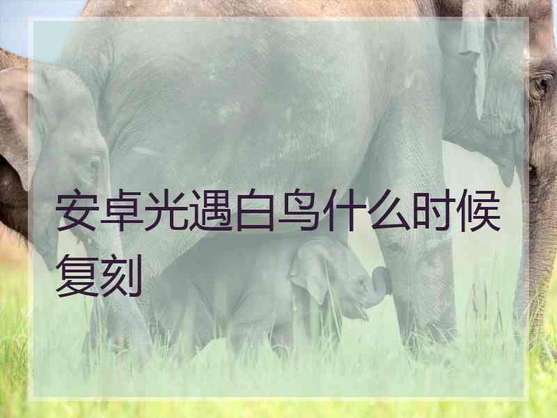 安卓光遇白鸟什么时候复刻