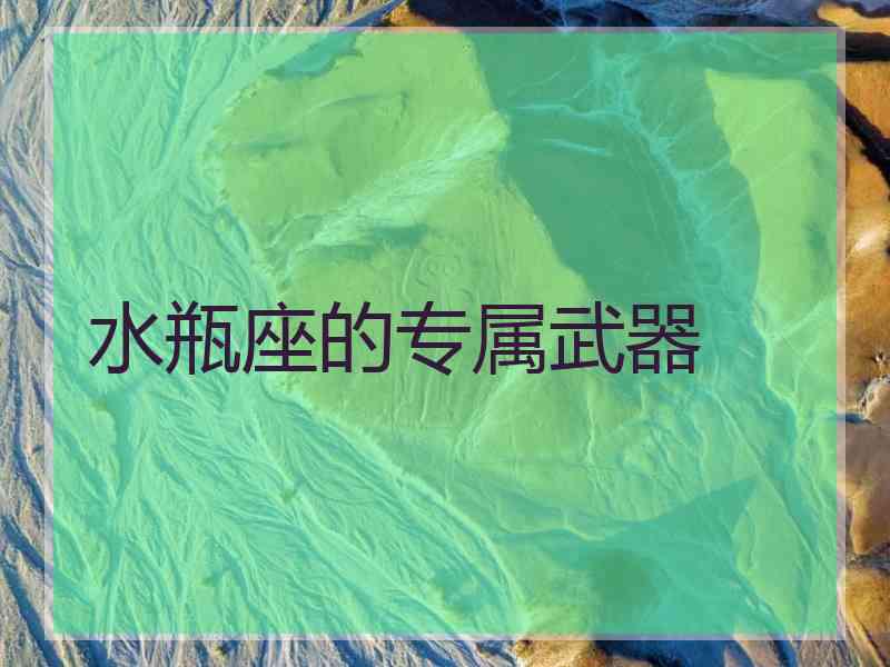 水瓶座的专属武器